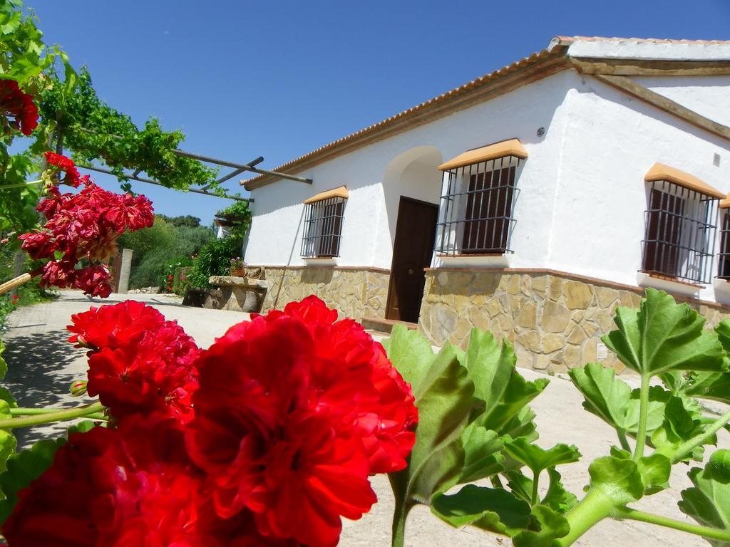 Casa Rural La Parada La Joya Exterior foto